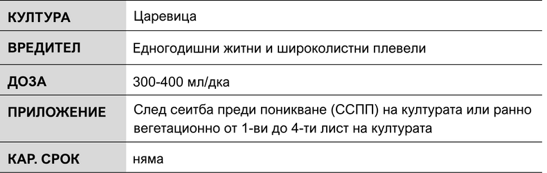Succesor table