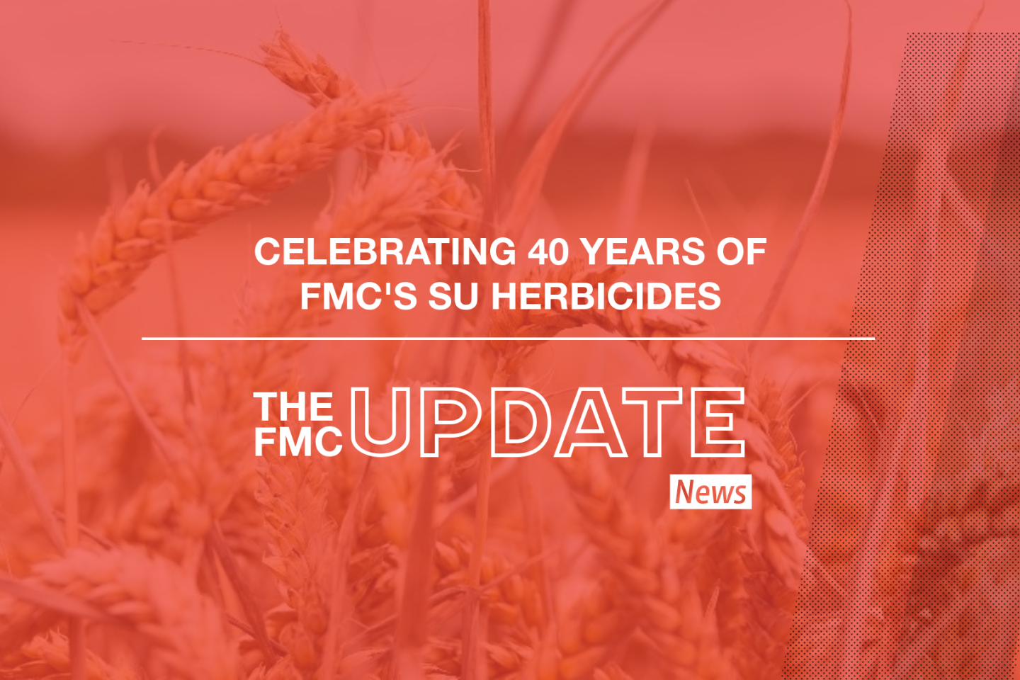 FMC update card